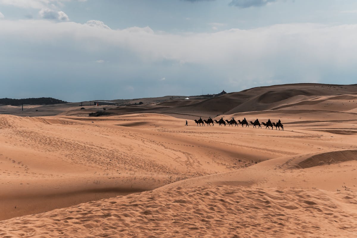 Camel caravan in desert dunes for Silk Road frontier exchange